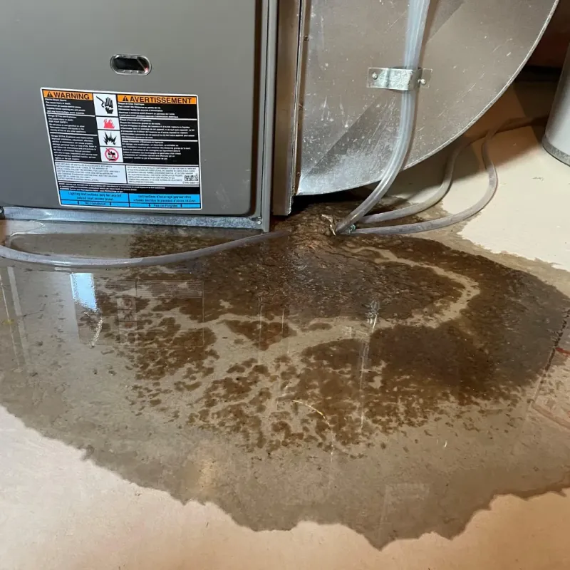 Appliance Leak Cleanup in Windsor County, VT